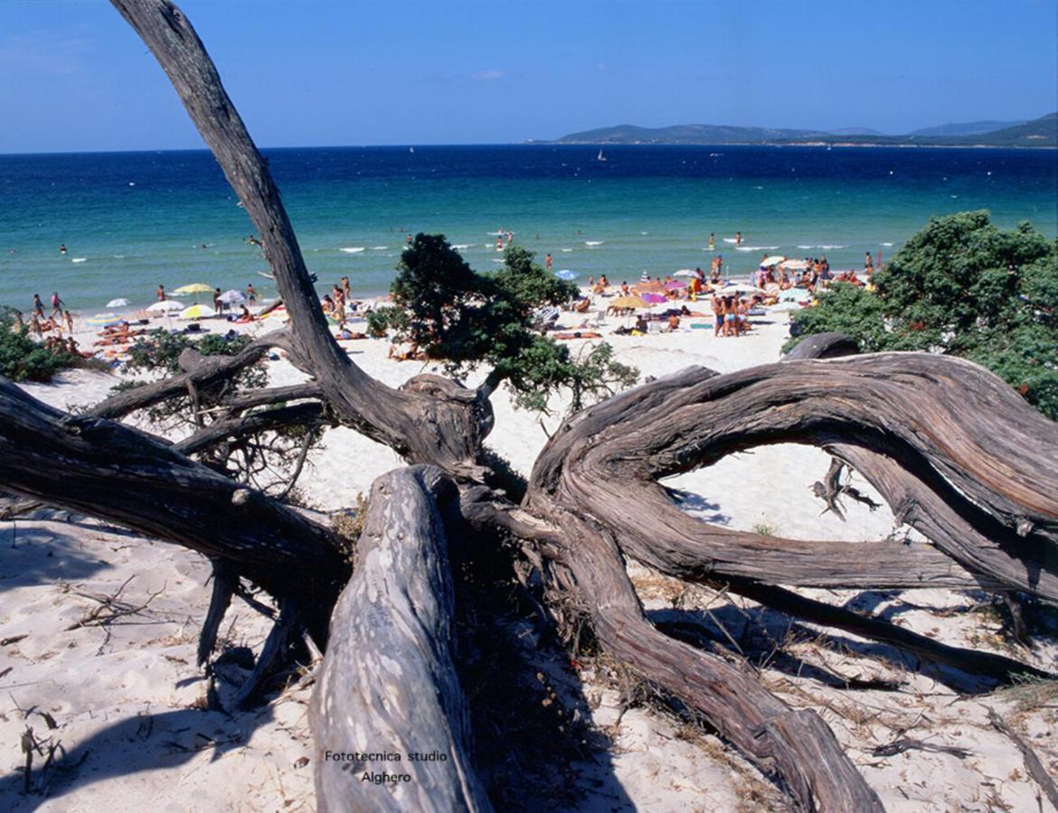 B&B Lamarina Alghero Dış mekan fotoğraf